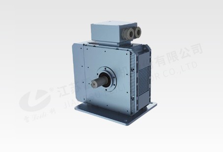 55KW 轴向磁通电机